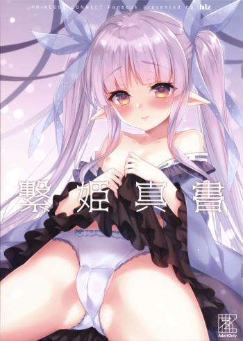 Tsunagi Hime Shinsho cover
