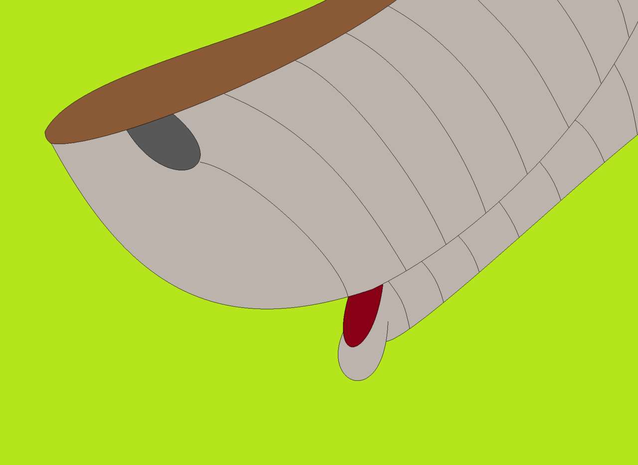 kaa &amp; gadget page 7 full