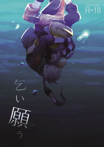 Koinegau cover