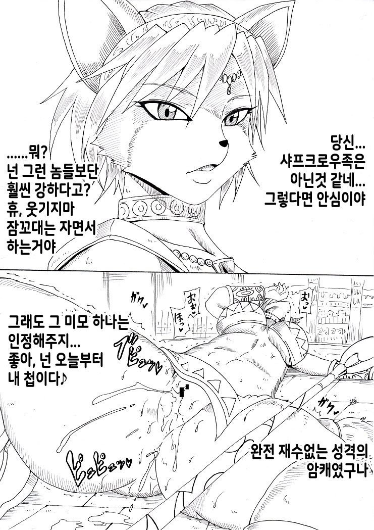 N Zukan ~Jizen Jigo Hen~ | N 도감 ~비포・에프터 편~ page 10 full