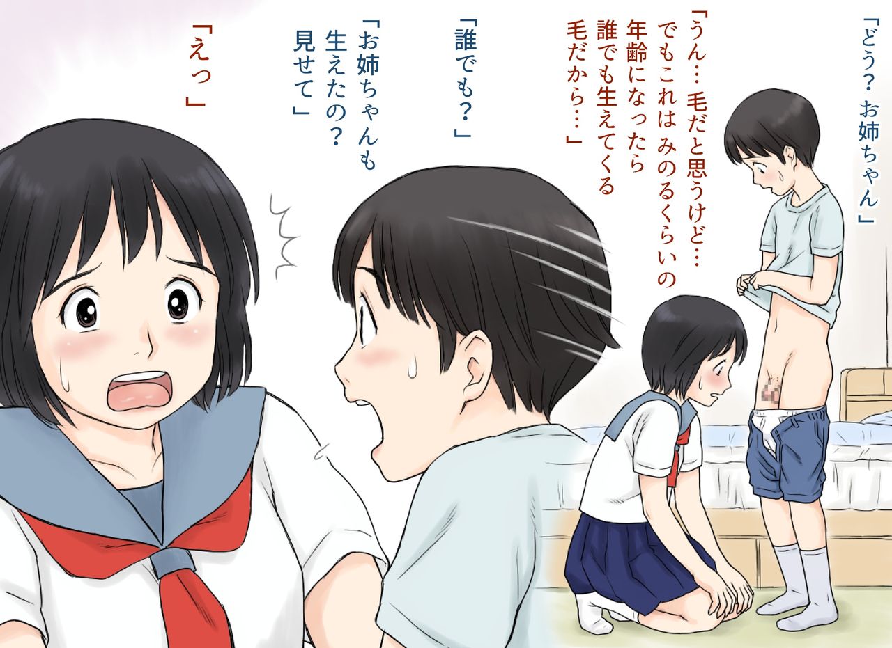 Sei ni Kyoumi o Mochihajimeta Ane to Otouto no Hatsutaiken page 8 full