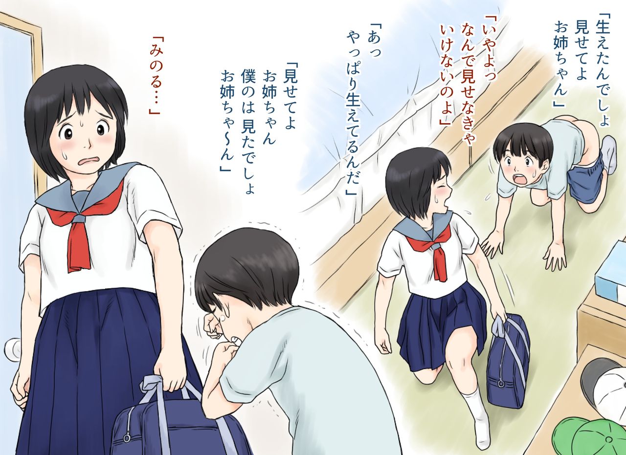 Sei ni Kyoumi o Mochihajimeta Ane to Otouto no Hatsutaiken page 9 full