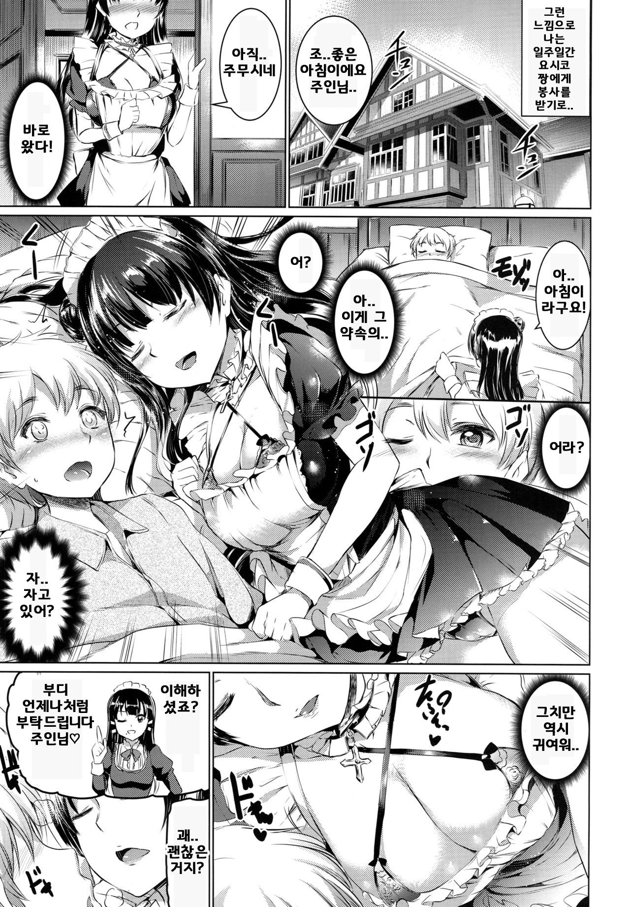 Da-Maid Yohane no Houshiroku | 타락 메이드 요하네의 봉사록 page 8 full