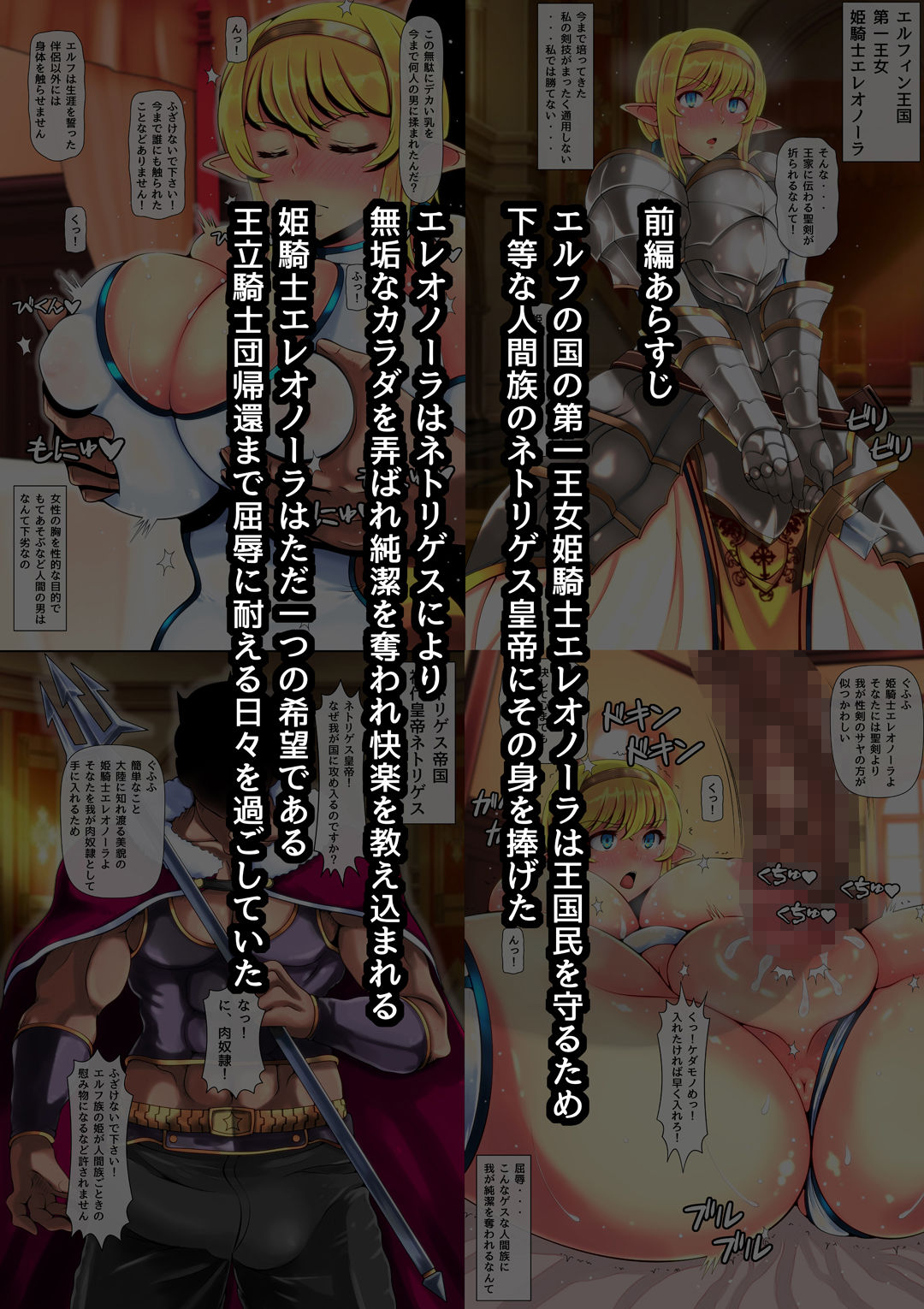 Haiboku no Otome 2 ~Hime Kishi Eleonora~ Kouhen page 2 full