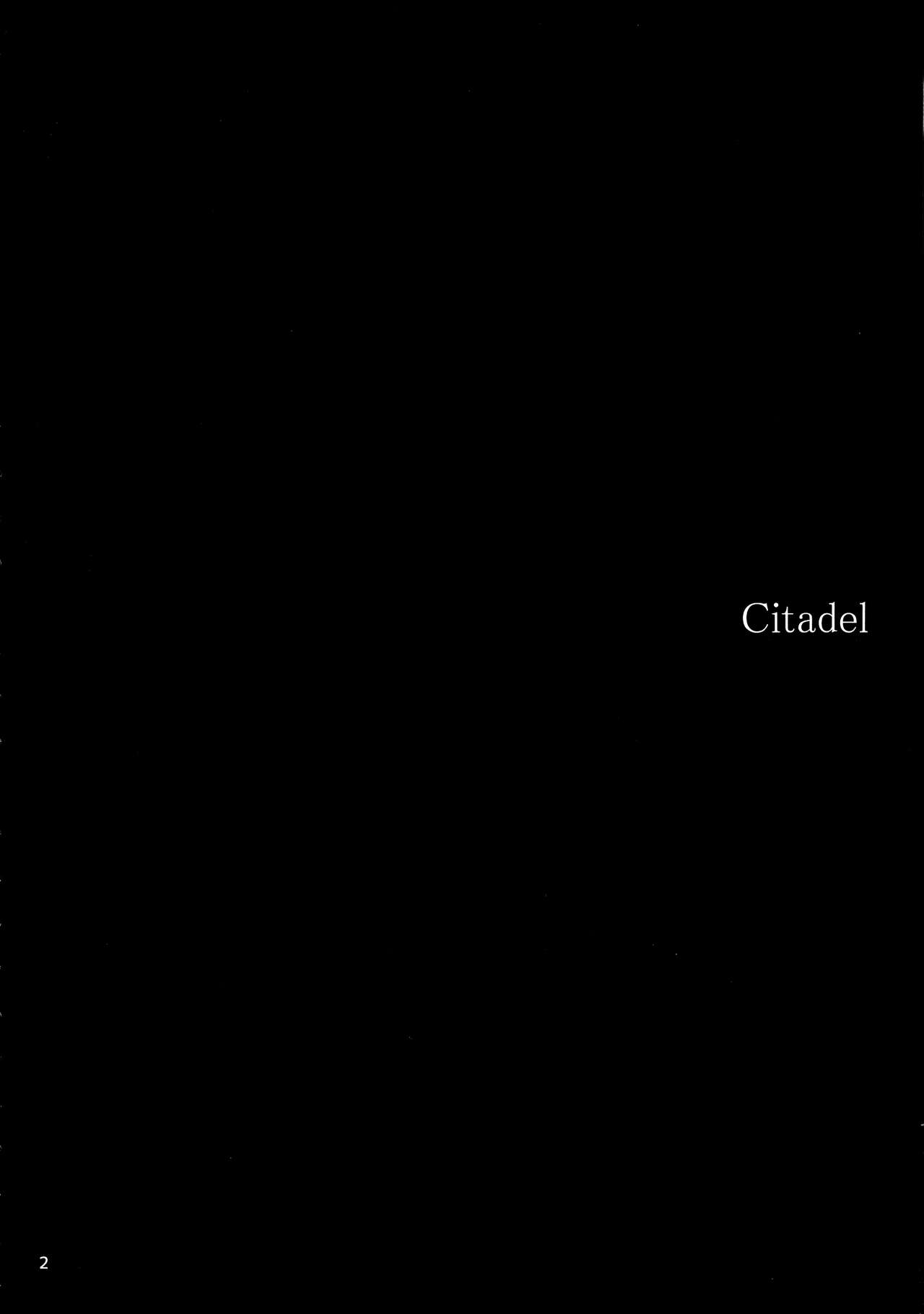 Citadel page 4 full