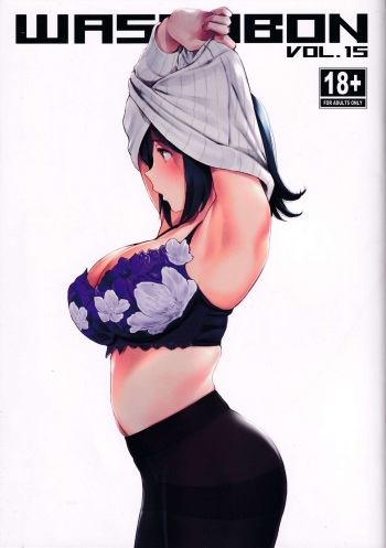 WASANBON Vol. 15 cover