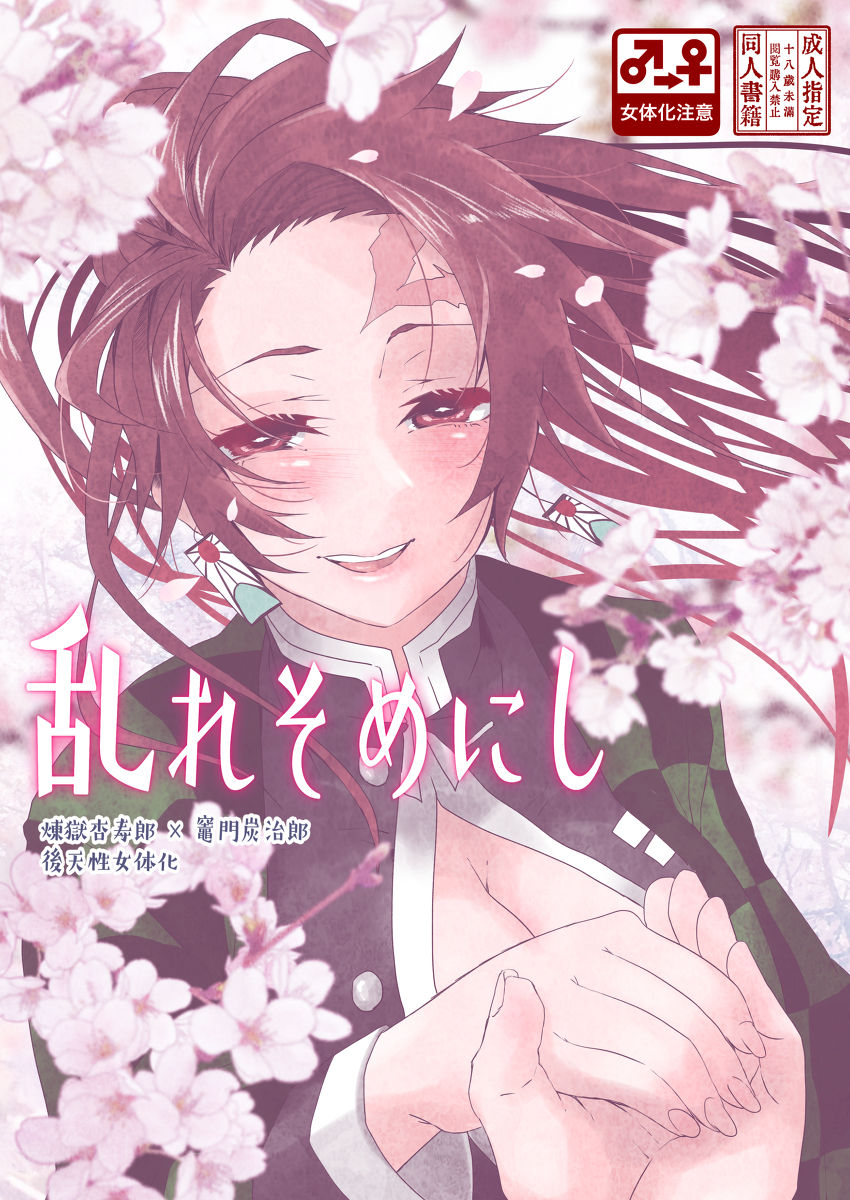 Midare Somenishi page 1 full