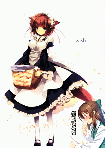 wish cover