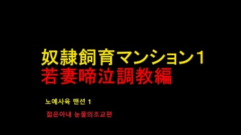 Dorei Shiiku Mansion 1 Wakazuma Teikyuu Choukyou Hen | 노예사육 맨션 1 젊은아내 눈물의조교편 cover