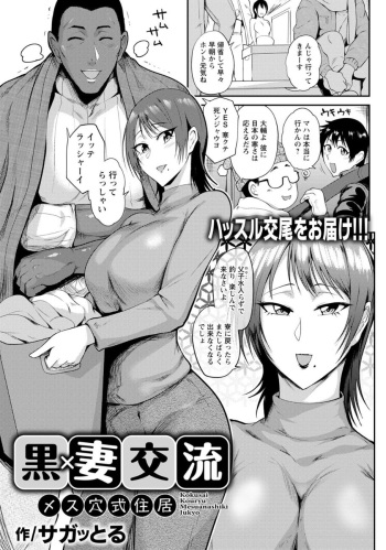 Kokusai Kouryu Mesuanashiki Jukyo cover