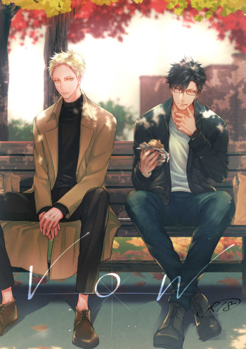VOW cover