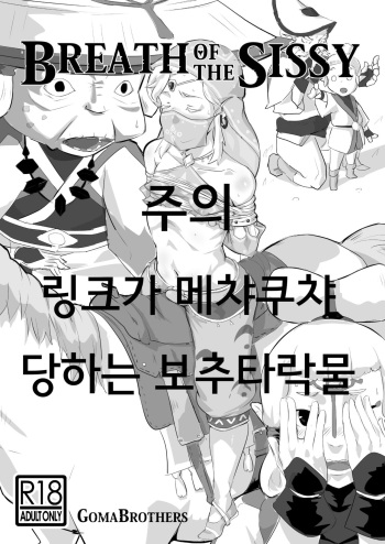 BREATH OF THE SISSY cover