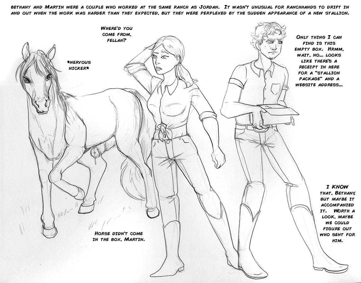 Stallion and Mare Packages page 1 full