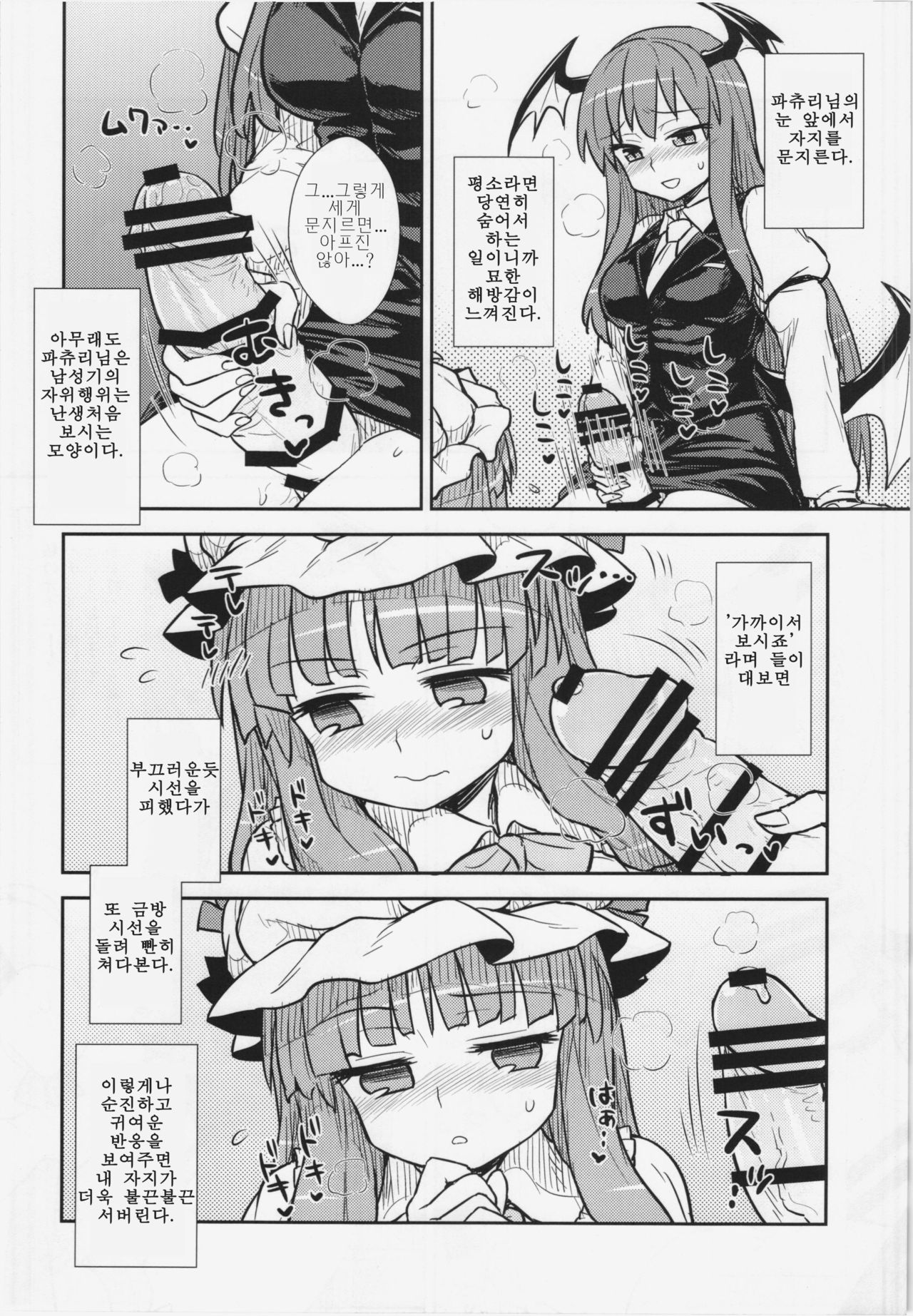 Koakuma no Patchouli Kansatsuki | 소악마의 파츄리 관찰기 page 10 full