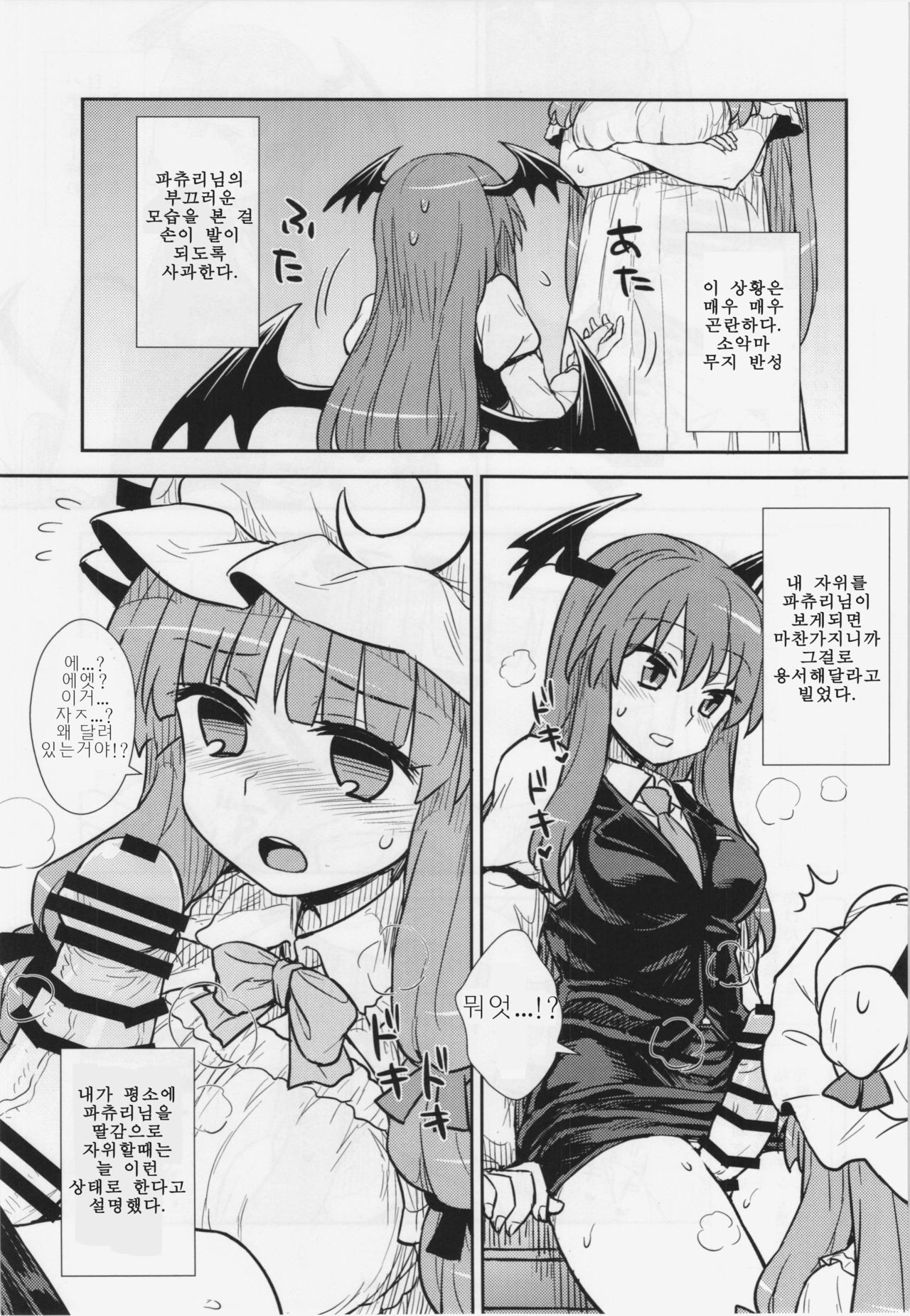 Koakuma no Patchouli Kansatsuki | 소악마의 파츄리 관찰기 page 9 full