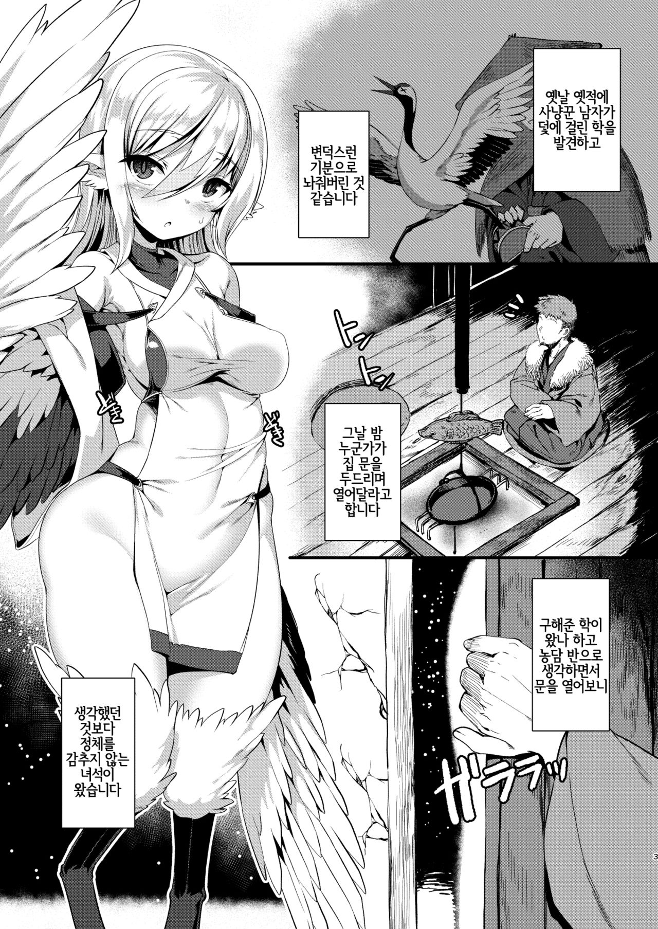 Tsuru Harpy no Ongaeshi + Kaijou Genteibon | 두루미하피의 은혜갚기 page 3 full