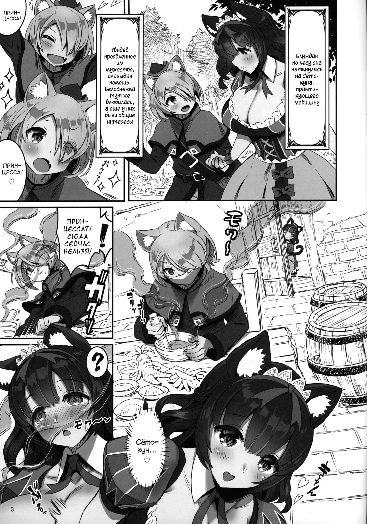 Kemomimi Douwashuu Shirayukihime-chan page 3 full