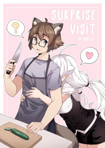 Surprise Visit cover