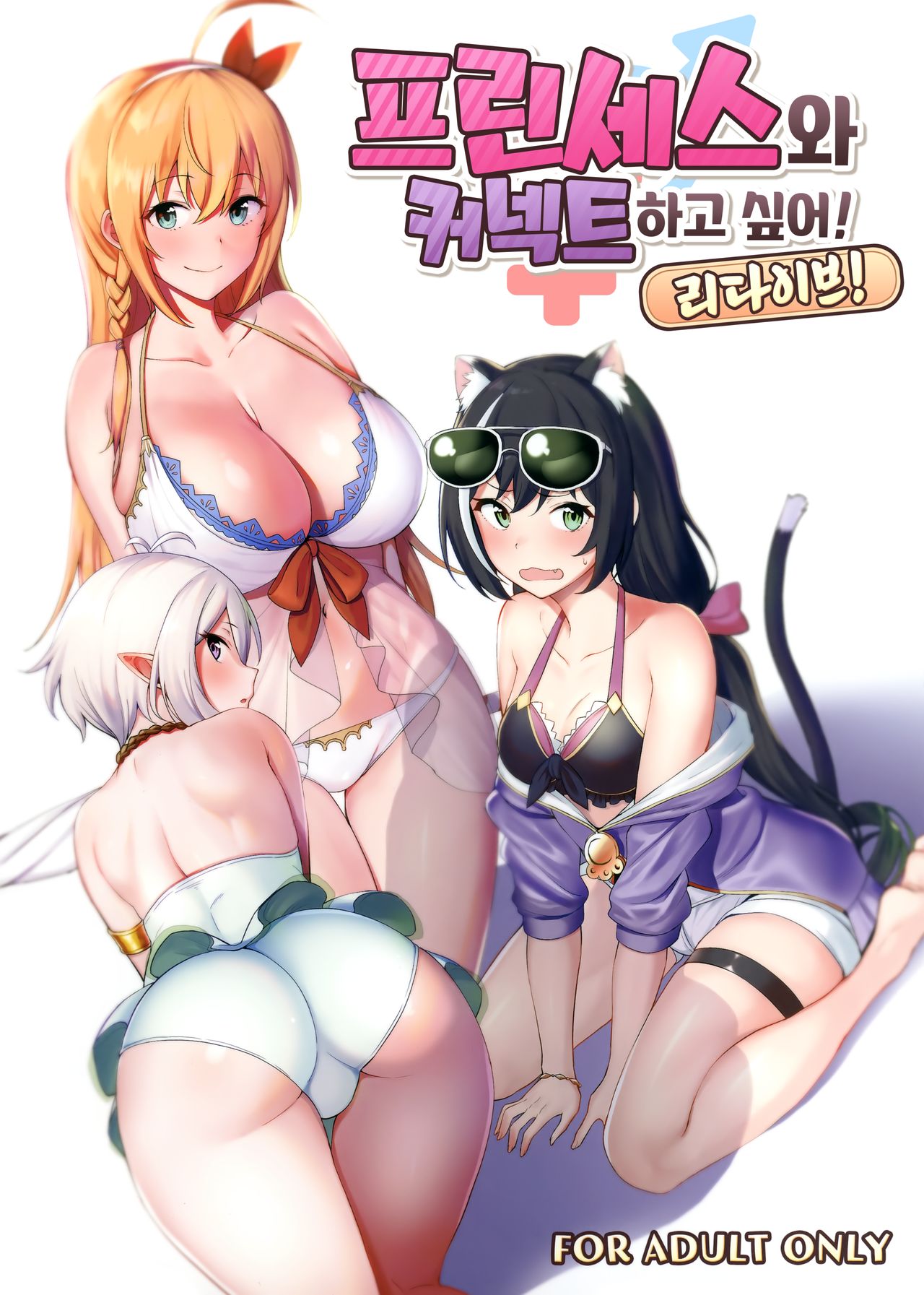 Princess to Connect Shitai! ReDive! | 프린세스와 커넥트 하고 싶어! 리다이브! page 1 full