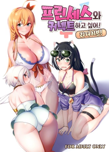 Princess to Connect Shitai! ReDive! | 프린세스와 커넥트 하고 싶어! 리다이브! cover