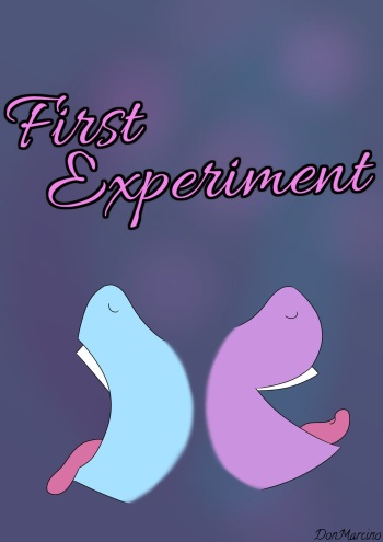 First Experiment cover