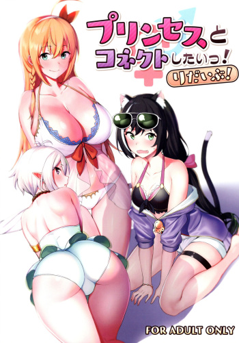 Princess to Connect Shitai! ReDive! cover
