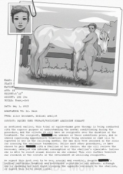 The  File