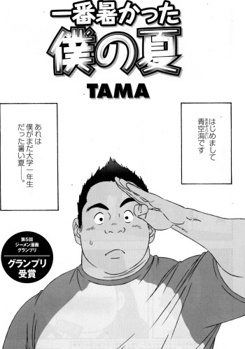 Ichiban Atsukatta Boku no Natsu cover