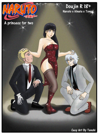 A Princess for Two cover