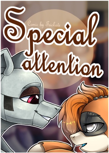 Special Attention cover