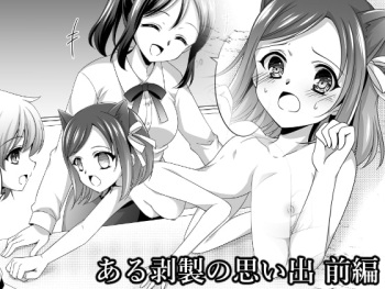 Aru Hakusei no Omoide Zenpen | The Memories of a Certain Stuffed Animal Part 1 cover