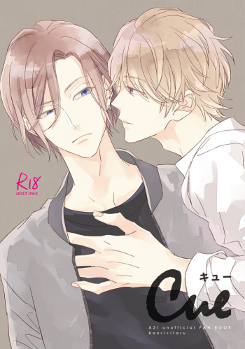 Cue cover