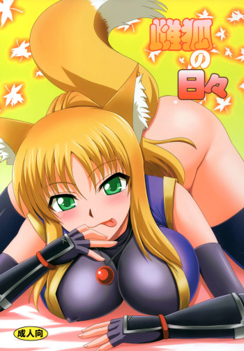 Mesu Kitsune no Hibi cover