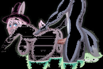 ozonebonezone cover
