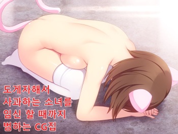 Dogezashite Ayamaru Shoujo o Haramu made Okasu CG Shuu | 도게자해서 사과하는 소녀를 임신 할 때까지 범하는 CG집 cover