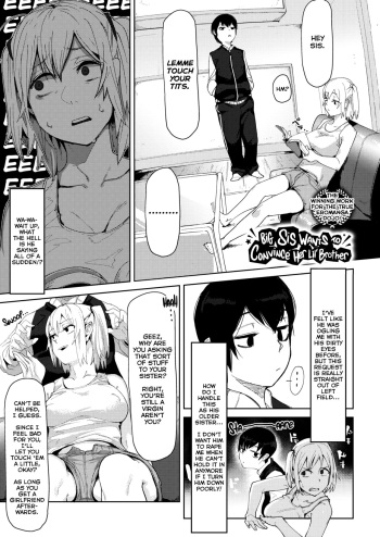 Onee-chan wa Otouto o Wakarasetai | Big Sis Wants to Convince Her Lil' Brother cover