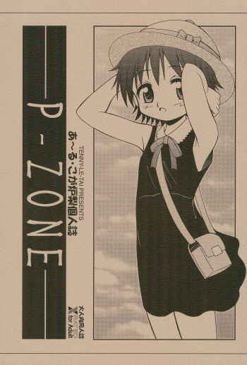 P-ZONE cover