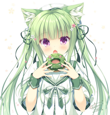 鷹乃ゆき cover