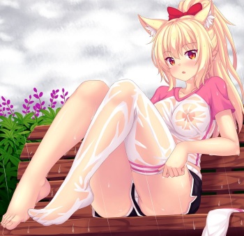 No Fap Challenge cover