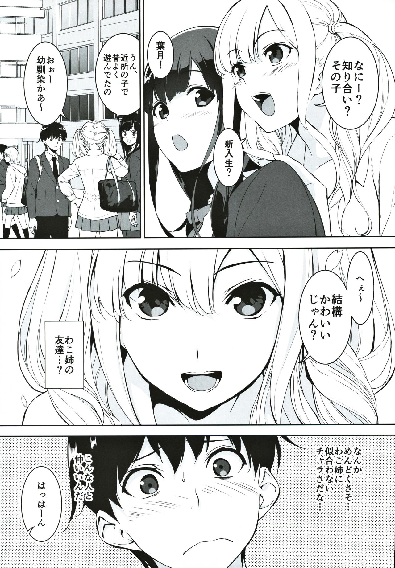 Seiso na Ane ga Suki nanoni Bitch to Sex Shiteru Ore page 4 full