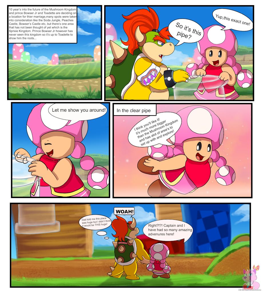 The Sprixie Kingdom page 1 full