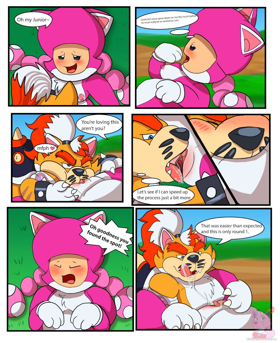 The Sprixie Kingdom page 5 full