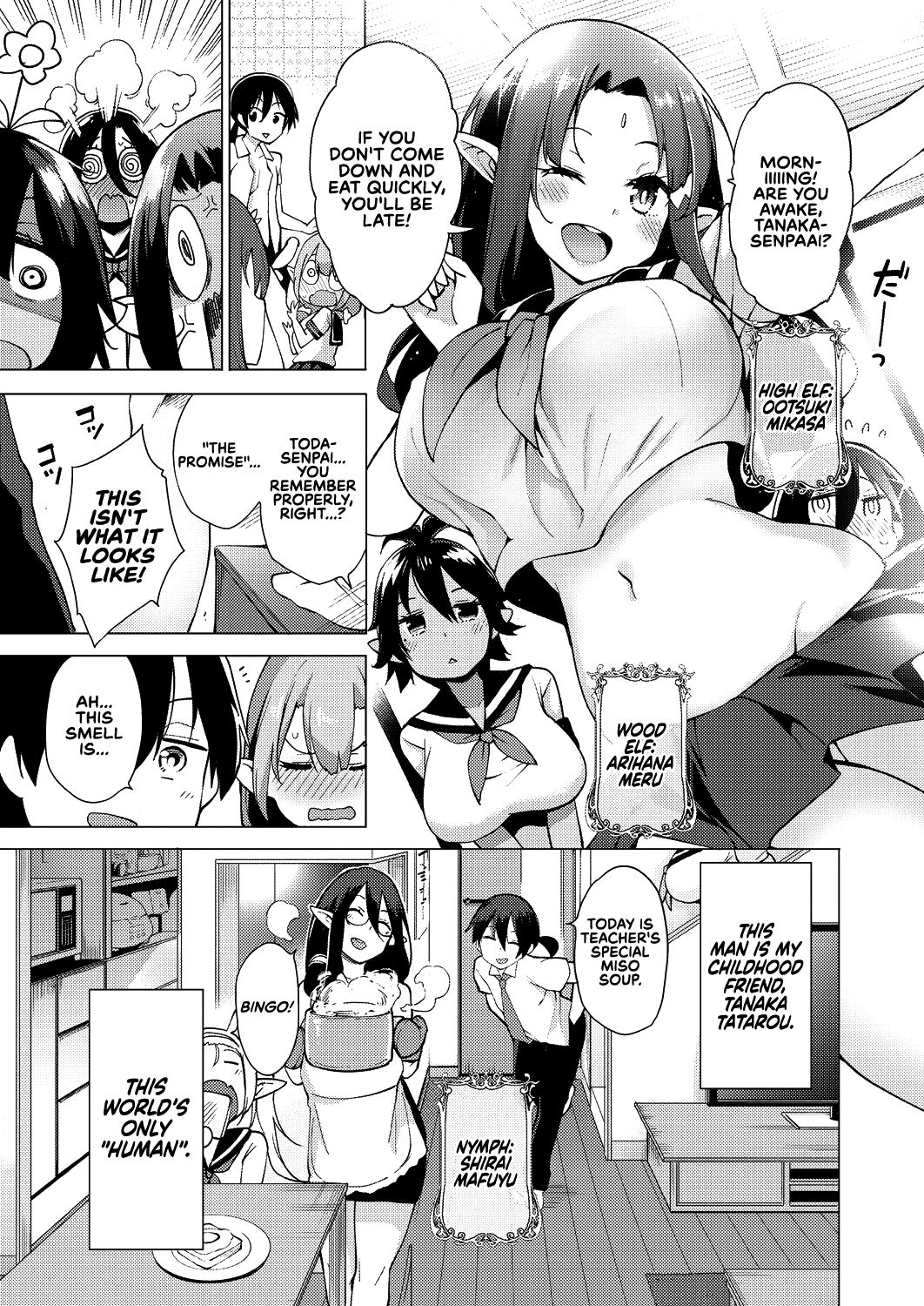 Yousei Harem Daibakuhatsu | Fairy Harem Explosion Ch. 1 page 4 full