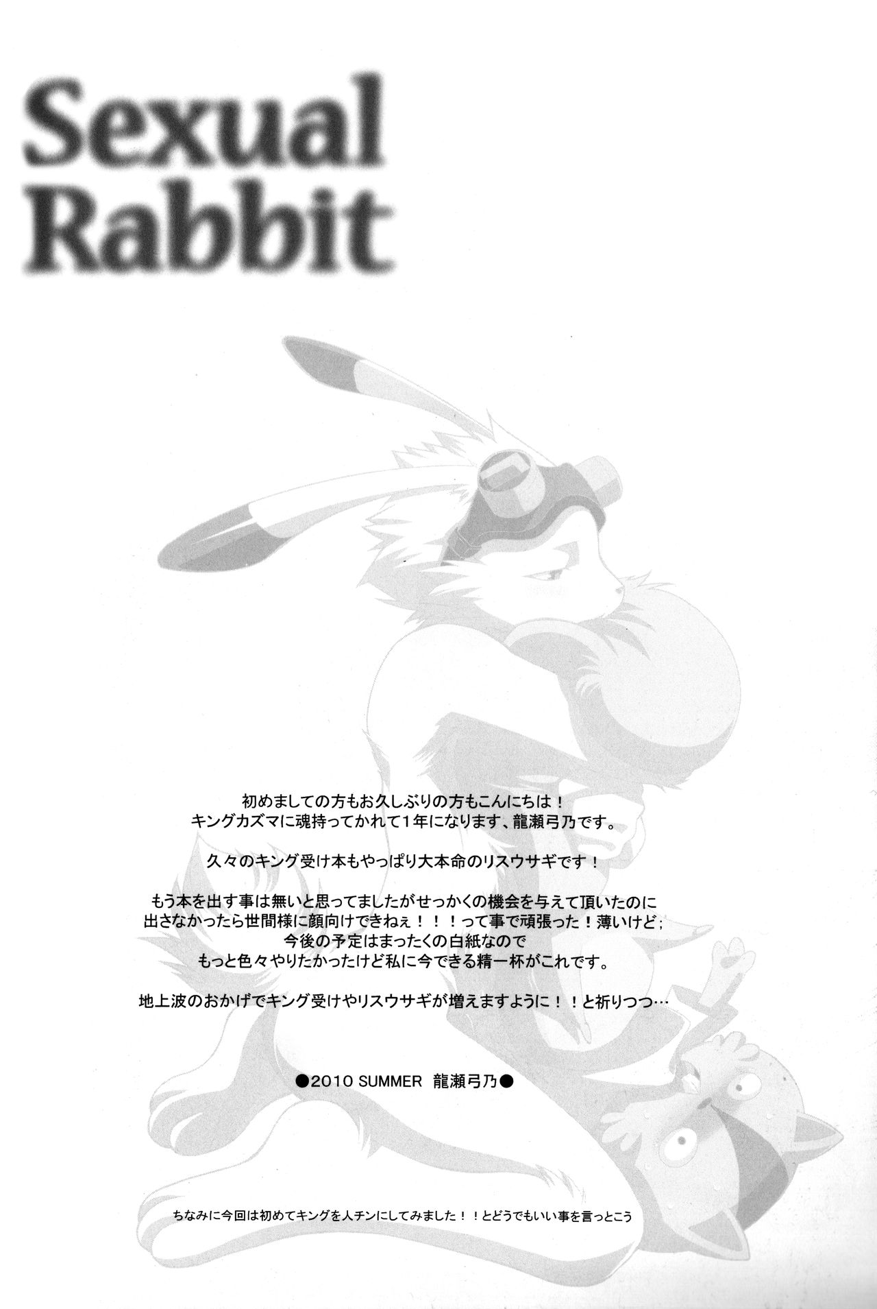 Sexual Rabbit page 3 full