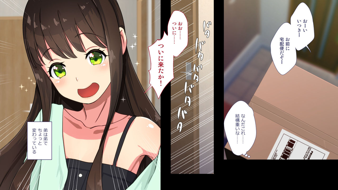 Maonaho ~Zenpen~ Maou o Mezasu Otouto ga Ore no Nama Onaho ni Natta Wake page 10 full