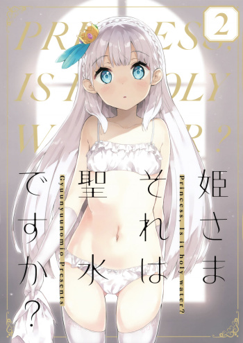 Hime-sama Sore wa Seisui desu ka? 2 cover