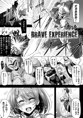 BRAVE EXPERIENCE cover