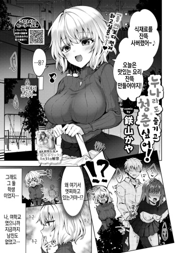 Onee-chan datte Seishun shitai!  | 누나라도 청춘 즐기고 싶어! cover