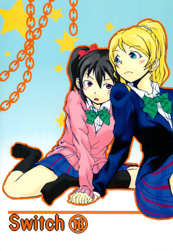 Switch cover