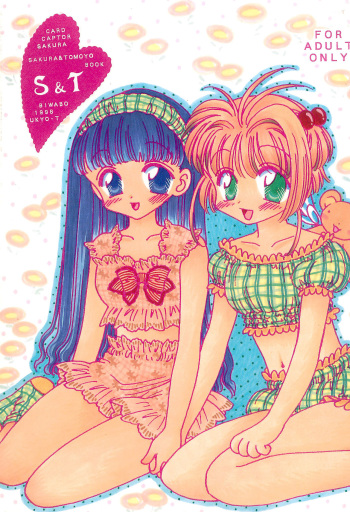 S&amp;T cover
